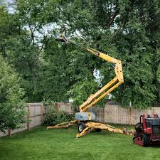 Professional Tree Removal and Landscaping Services in Groveville, NJ